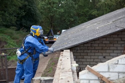 Asbestos Abatement Chester Township NJ