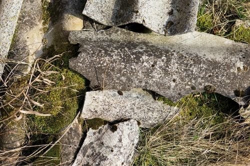 Asbestos Abatement Morris Plains NJ