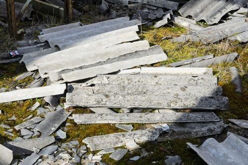 Asbestos Abatement Rockaway Township NJ